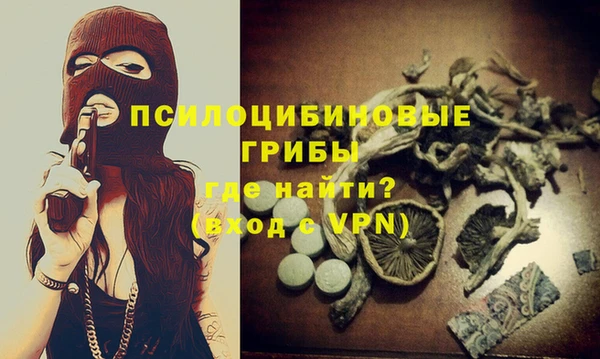 винт Алзамай