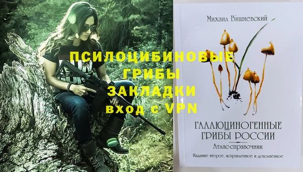 спайс Алексин