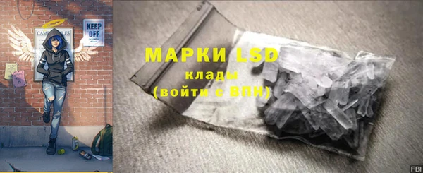 винт Алзамай